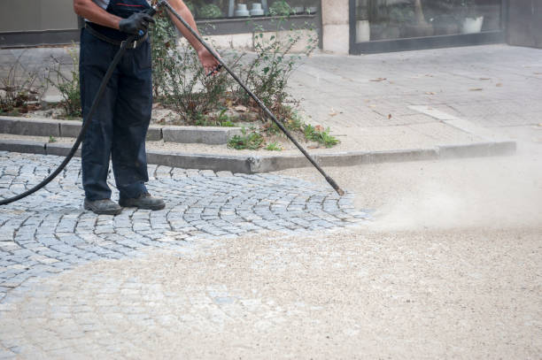 Best Animal Enclosure Cleaning  in Athens, TX